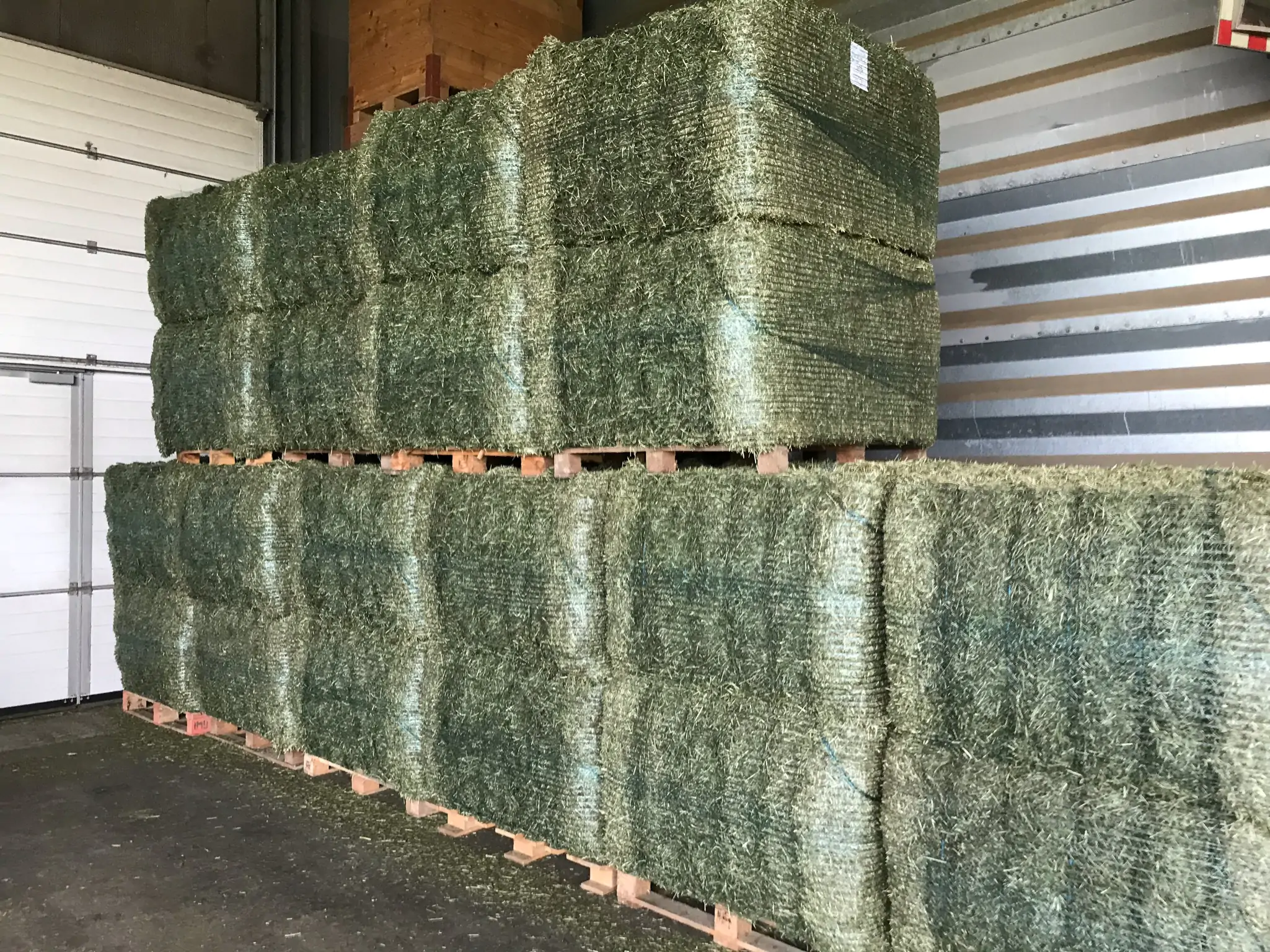 Europress_Ballen mit Garnabbindung_auf Paletten